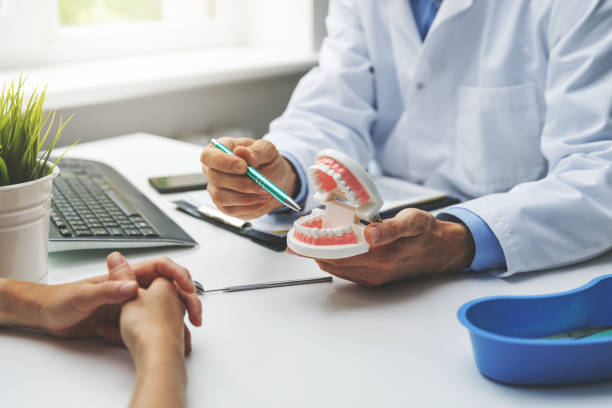 Professional Holistic Dental Care Services in St Marys, OH