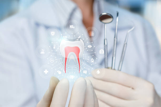 Best Dental Exams and Cleanings  in St Marys, OH